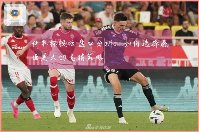 世界杯投注盘口分析：如何选择赢面更大的竞猜策略