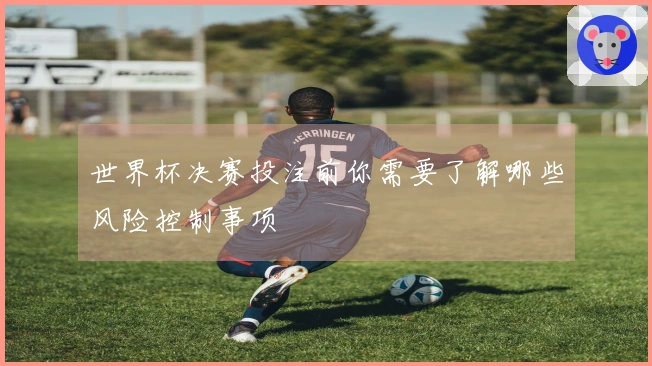 世界杯决赛投注前你需要了解哪些风险控制事项