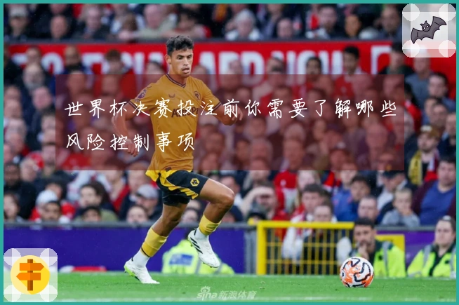 世界杯决赛投注前你需要了解哪些风险控制事项
