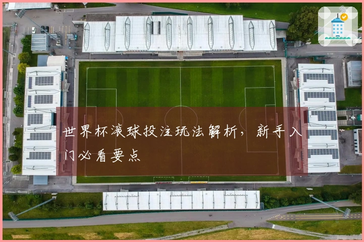 世界杯滚球投注玩法解析，新手入门必看要点