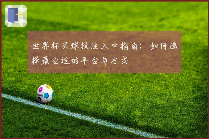 世界杯买球投注入口指南：如何选择最合适的平台与方式