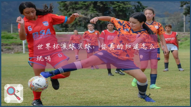 世界杯滚球买球，你真的知道怎么玩吗