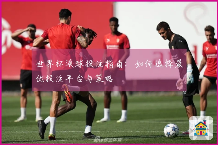 世界杯滚球投注指南：如何选择最优投注平台与策略