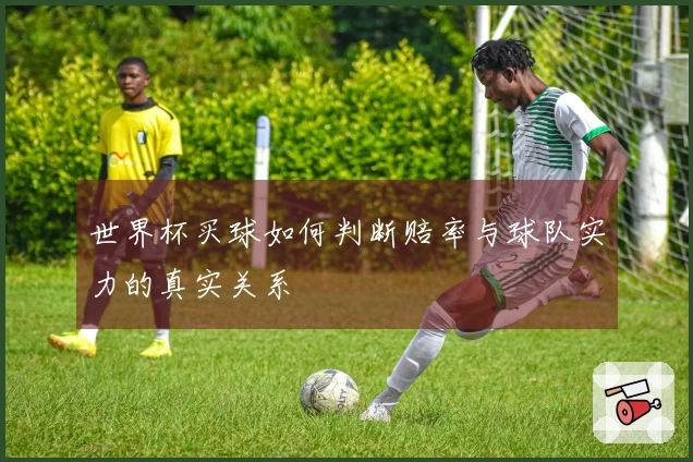 世界杯买球如何判断赔率与球队实力的真实关系
