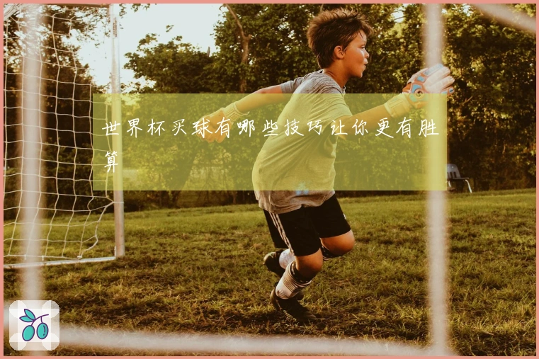 世界杯买球有哪些技巧让你更有胜算