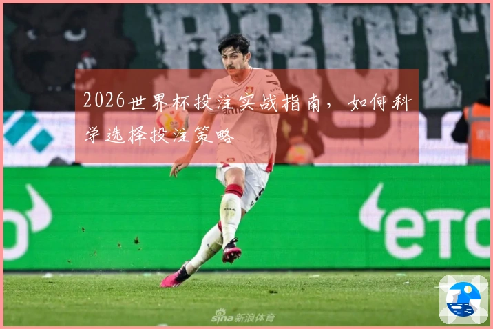 2026世界杯投注实战指南，如何科学选择投注策略