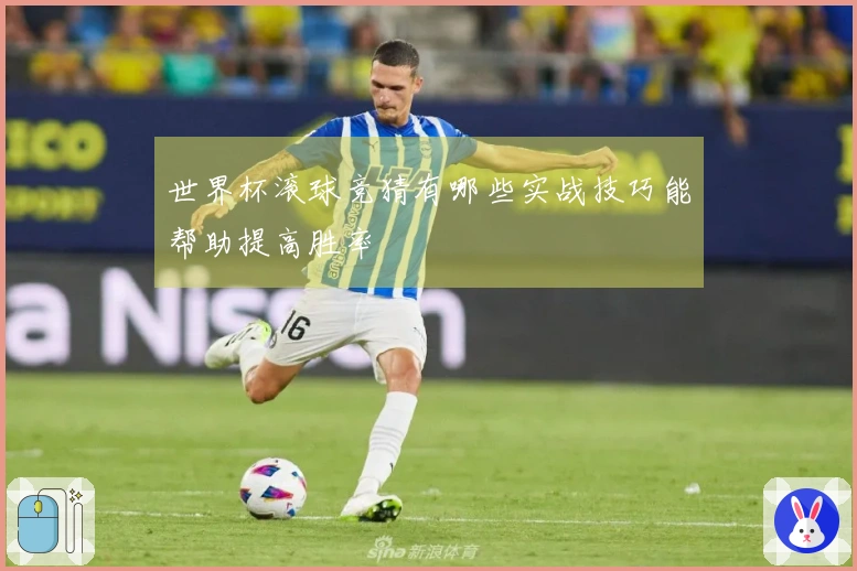 世界杯滚球竞猜有哪些实战技巧能帮助提高胜率