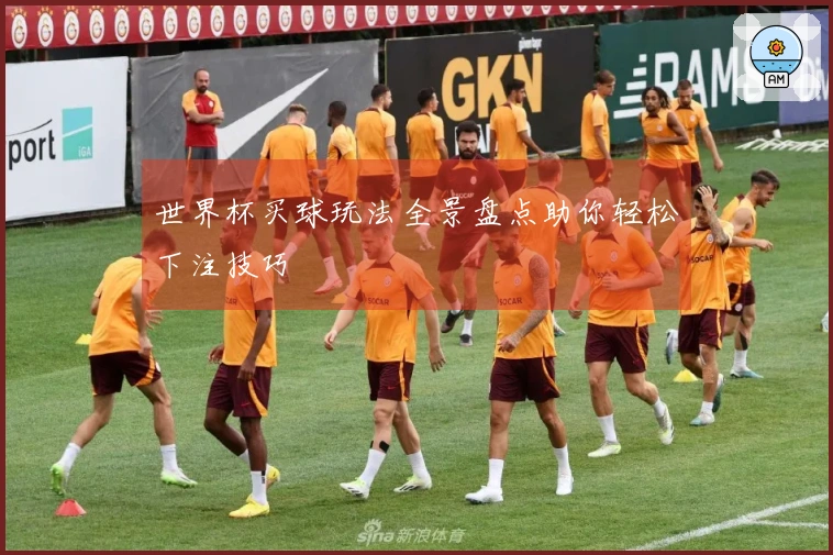 世界杯买球玩法全景盘点助你轻松下注技巧