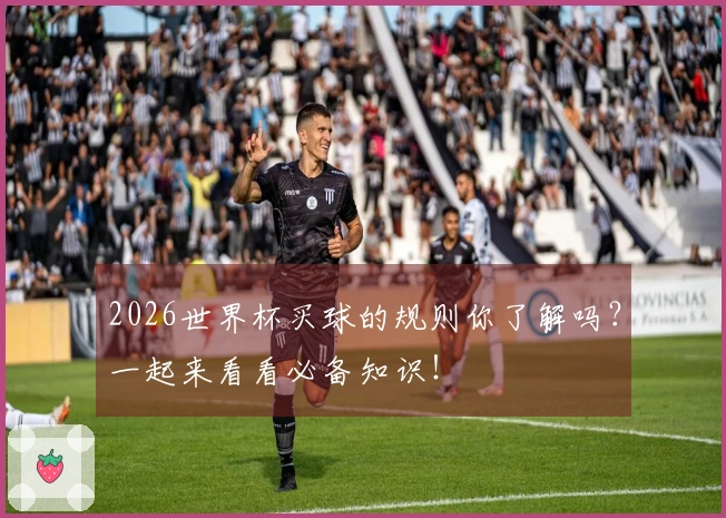 2026世界杯买球的规则你了解吗？一起来看看必备知识！
