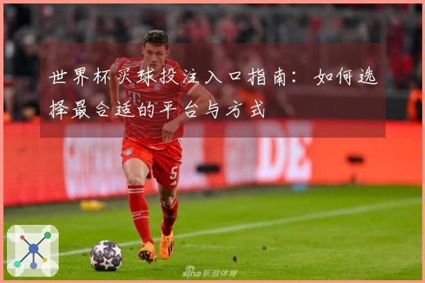 世界杯买球投注入口指南：如何选择最合适的平台与方式