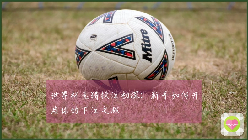 世界杯竞猜投注初探：新手如何开启你的下注之旅