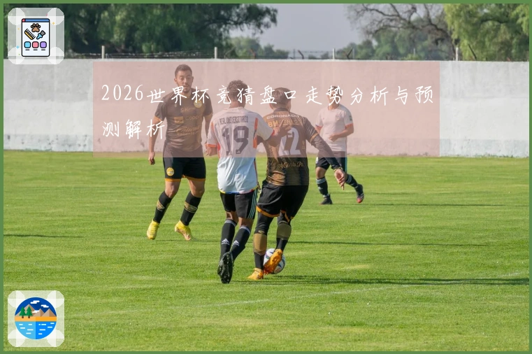 2026世界杯竞猜盘口走势分析与预测解析