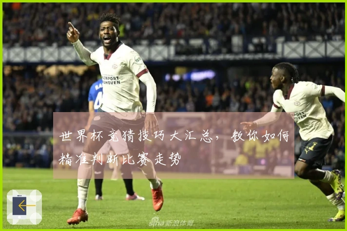 世界杯竞猜技巧大汇总，教你如何精准判断比赛走势